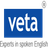 Veta Academy